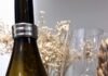 Vinha da Curia 2024: quando o vinho encontra o prato